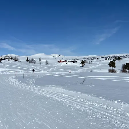 公寓 Actif 318 - Close To Slopes In Al *