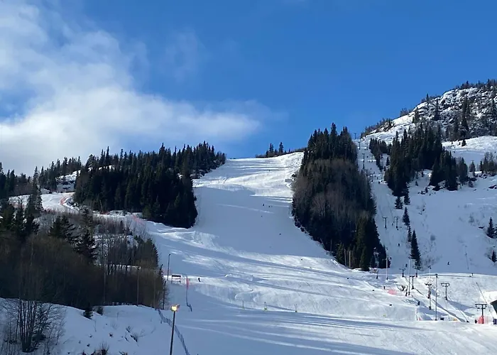 Actif 318 - Close To Slopes In Al * Ол