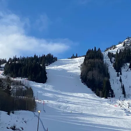 Actif 318 - Close To Slopes In Al * Ол